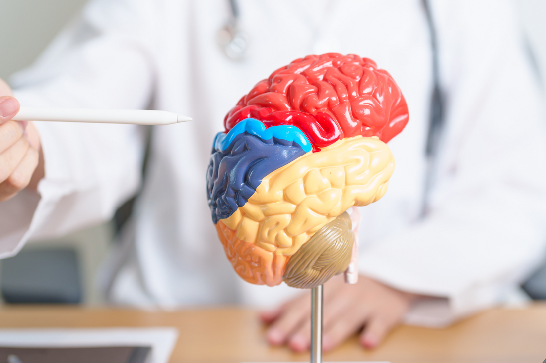 Inkontinent nach Schlaganfall